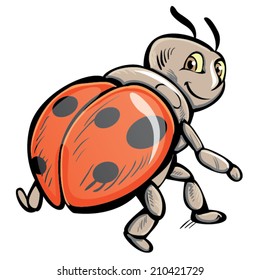ladybird