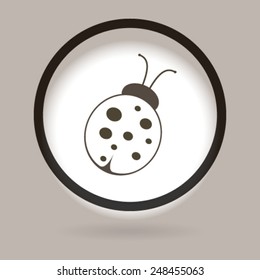 ladybird
