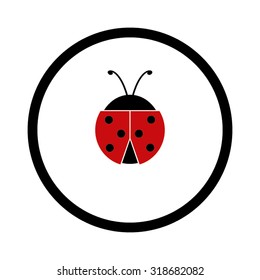 ladybird