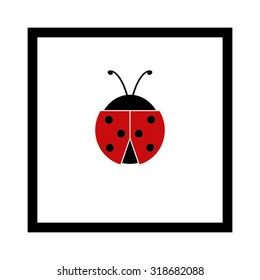 ladybird