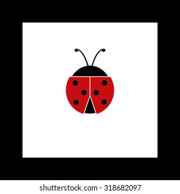 ladybird