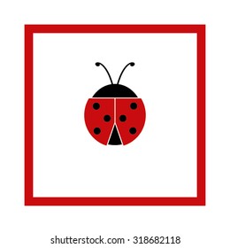 ladybird