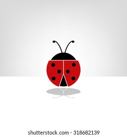 ladybird