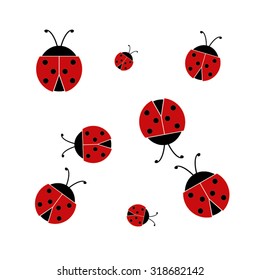 ladybird
