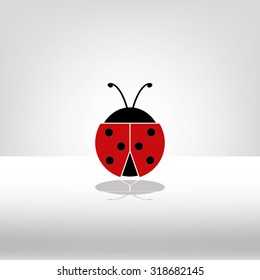 ladybird