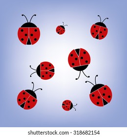 ladybird