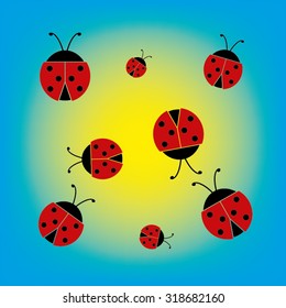 ladybird