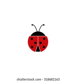 ladybird