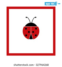 ladybird