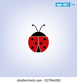 ladybird