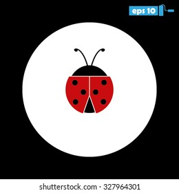 ladybird