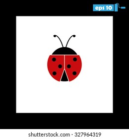 ladybird