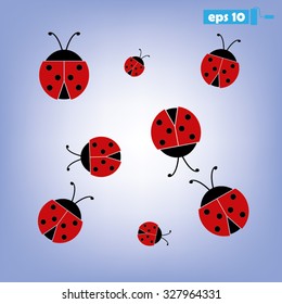 ladybird