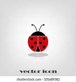 ladybird