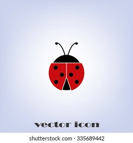 ladybird
