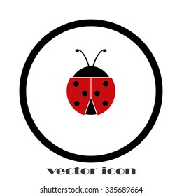 ladybird