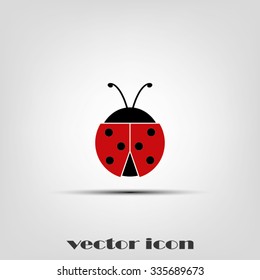 ladybird