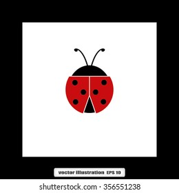 ladybird