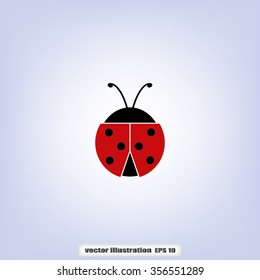 ladybird