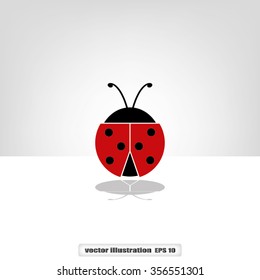 ladybird