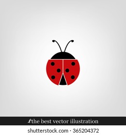 ladybird