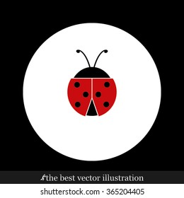 ladybird