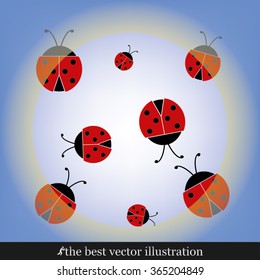ladybird