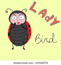 ladybird