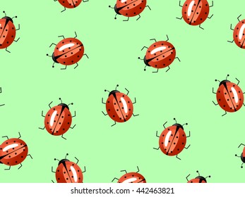 
Ladybird