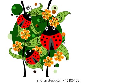 ladybird