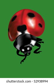 ladybird