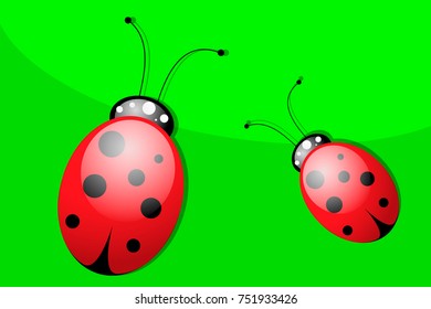 Ladybird
