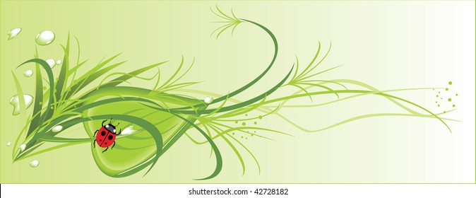 Ladybird among a sprigs and dew. Vector