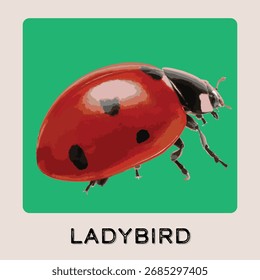 Mariquita animal en estilo plano. diseño de Vector aislado en el fondo