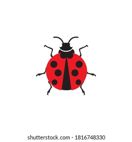 ladybird animal  vector logo symbol template icon