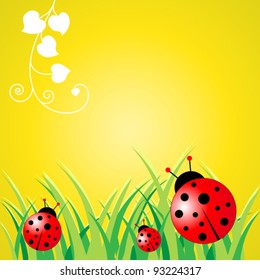 Ladybird Background