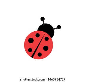 ladybird beetle flat design vectors