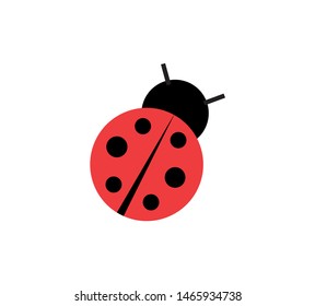 ladybird beetle flat design vectors