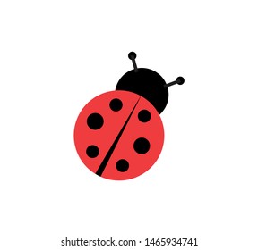 ladybird beetle flat design vectors