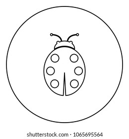 Ladybird black icon in circle