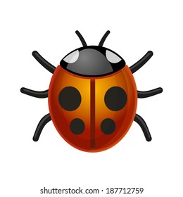 Ladybird Bug on White Background. Vector.