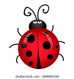 a ladybird, a cartoon character, an insect,