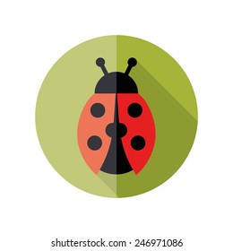 ladybird flat icon