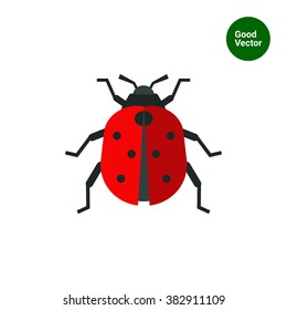 Ladybird flat icon