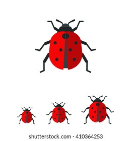 Ladybird flat icon