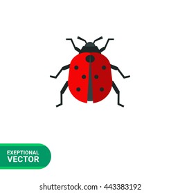 Ladybird flat icon