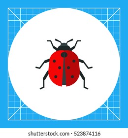 Ladybird flat icon