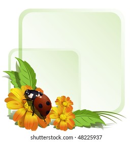 Ladybird and flowers