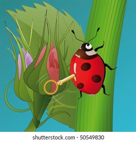 Ladybird and flowers
