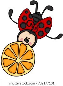 Ladybird flying with a slice of orange
